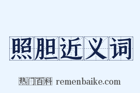 照胆近义词是什么意思的图片